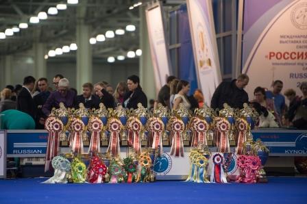 Выставка собак всех пород «Россия-2015»