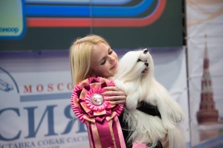 Выставка собак всех пород «Россия-2015»